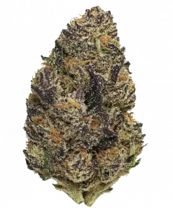 Strawberry Truffle S1, tatlı çilek aroması ve yüksek THC içeriğiyle öne çıkan Indica ağırlıklı bir türdür. Yaratıcılığı ve rahatlamayı keşfedin.