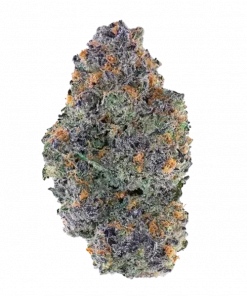 Strawberry Zkillato BX1, tatlı meyve aromaları ve yüksek THC içeriğiyle bilinen Indica dominant bir türdür. Depresyon ve stresi azaltmaya yardımcı olabilir. Özelliklerini keşfedin.