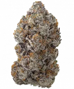 Strawmata, çilek aromaları ve dengeli etkisiyle öne çıkan Indica dominant bir türdür. Stresi azaltan bu özel türün genetik yapısını keşfedin.