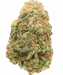 Strawnana Gold, çilek-muz aroması ve dengeli etkileriyle öne çıkan bir hibrit türdür. Yüksek THC içeriğiyle dikkat çeker. Tüm özelliklerini keşfedin.