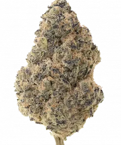 Strawnana Juice, çilek-muz aromalı, öforik bir hibrit türdür. Stresi azaltan ve ruh halini yükselten bu türün genetik yapısını keşfedin.