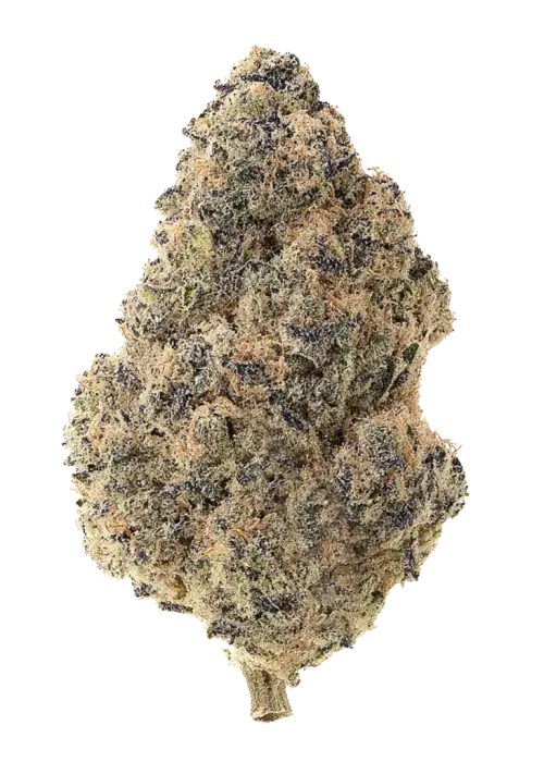 Strawnana Juice, çilek-muz aromalı, öforik bir hibrit türdür. Stresi azaltan ve ruh halini yükselten bu türün genetik yapısını keşfedin.