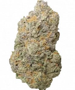 Strawnana Spritzer, tatlı meyve ve tropikal aromalarıyla öne çıkan dengeli bir hibrit türdür. Orta seviye yetiştiriciler için idealdir. Özelliklerini keşfedin.