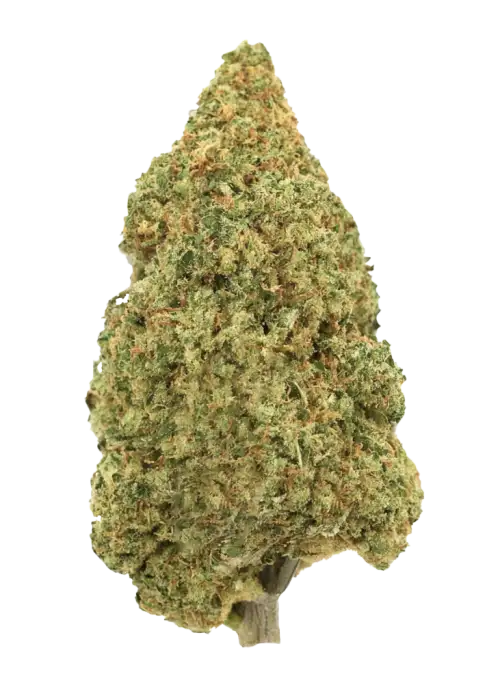 Strawnangie Haze, çilek aroması ve yüksek THC içeriğiyle öne çıkan dengeli bir hibrit türdür. Sosyal etkileri ve lezzetli profilini keşfedin.