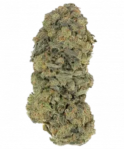 StrawShortCake, çilek aromaları ve rahatlatıcı etkileriyle bilinen indica baskın türdür. Stres ve kaygı için ideal. Genetik yapısını keşfedin.