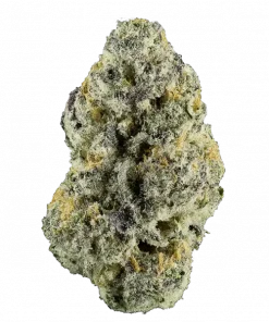 Street Guru, sert yakıtımsı aroması ve yüksek THC içeriğiyle öne çıkan Indica baskın bir türdür. Derin rahatlama ve uyku için ideal. Etkilerini keşfedin.