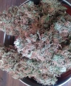 Sugar Black Rose Feminized Esrar Tohumu (Delicious Seeds)