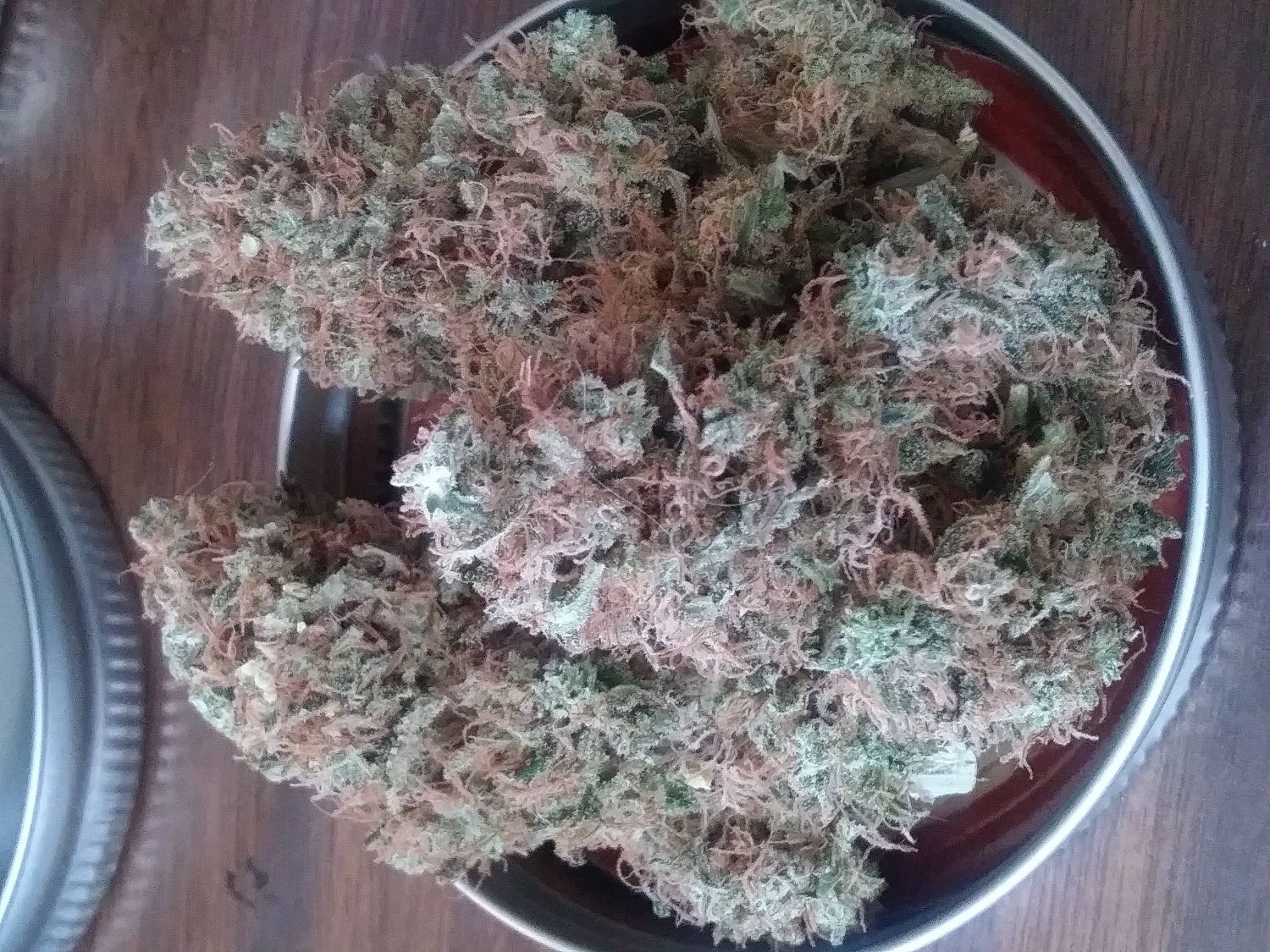 Sugar Black Rose Feminized Esrar Tohumu (Delicious Seeds)