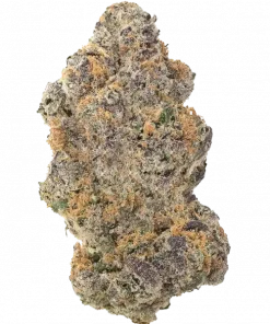 Sugar Cane V2 Bx1, benzin kokusu ve üzüm aromalı, yüksek THC'li indica baskın bir türdür. Uykusuzluk ve ağrı için ideal. Reçineli yapısını keşfedin.