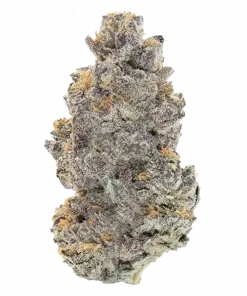 Sugar Factory, yakıtımsı ve meyveli aromalarıyla öne çıkan indica dominant bir türdür. Yüksek THC içeriğiyle dikkat çeker. Etkilerini ve genetik yapısını keşfedin.