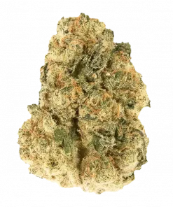 Sugar Fuel, yakıtımsı ve tatlı aromalarıyla öne çıkan Indica dominant bir türdür. Rahatlatıcı etkileriyle bilinen bu türün genetik yapısını keşfedin.