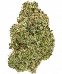 Sugar Larry, narenciye aroması ve yüksek THC içeriğiyle öne çıkan Indica baskın bir türdür. Yaratıcılığı tetikleyen genetik yapısını keşfedin ve etkilerini görüntüleyin.