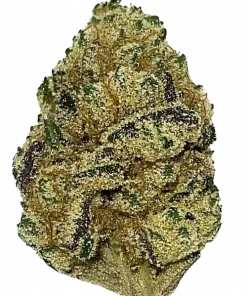 Sugar Shack, tatlı narenciye aroması ve rahatlatıcı etkisiyle bilinen Indica baskın bir türdür. Uykusuzluğa iyi gelir. Genetik yapısını keşfedin ve deneyimini yaşayın.