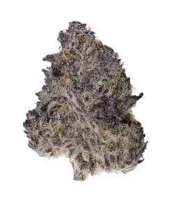 Sugar & Spice, yakıtımsı ve baharatlı aromalarıyla öne çıkan indica dominant bir türdür. Yüksek verim ve reçine üretimi için ideal. Genetik özelliklerini keşfedin.