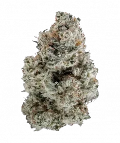 Sugar Tree, sert limon aroması ve THC ile öne çıkan Indica dominant türdür. Stres ve ağrı için ideal. Genetik yapısını keşfedin.