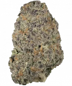 Sugoi Zushi, şekerli üzüm aroması ve rahatlatıcı etkileriyle bilinen dengeli bir hibrit türdür. Yüksek verim potansiyeliyle öne çıkar. Genetik yapısını keşfedin.