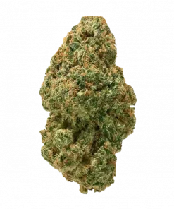 Suicide Kings, vanilya aromaları ve 'e varan THC içeriğiyle öne çıkan Indica baskın bir türdür. Ağrı ve uykusuzluğa iyi gelir. Özelliklerini keşfedin.