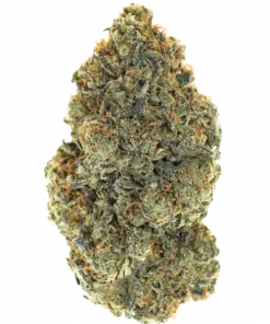 Sunset Lime, keskin limon aroması ve yüksek reçine üretimiyle bilinen bir hibrit türdür. Umami Seed Co'nun bu özel türünü keşfedin ve eşsiz özelliklerini görüntüleyin.