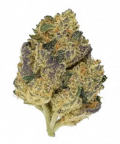 Sunset Peach, şeftali aroması ve THC ile öne çıkan Indica dominant bir türdür. Yaratıcılığı tetikleyen bu eşsiz türün genetik yapısını keşfedin.