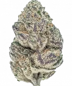 Sunset Runtz, tropikal meyve aromaları ve yüksek THC içeriğiyle bilinen Indica dominant bir türdür. Mutluluk ve rahatlama sunar. Özelliklerini keşfedin.