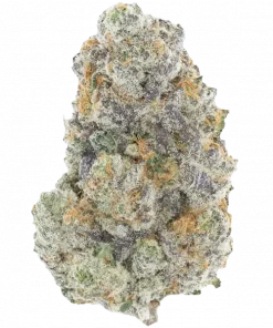 Sunset Sherbert, naneli ve meyvemsi aromalarıyla öne çıkan Indica dominant bir türdür. Rahatlatıcı etkileriyle bilinen bu eşsiz türü keşfedin.