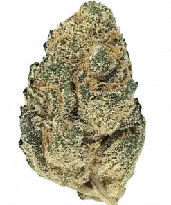 Sunshine Daydream, yakıtımsı ve meyvemsi aromalarıyla öne çıkan Indica dominant bir türdür. Yüksek THC içeriğiyle dikkat çeken bu türün genetik yapısını keşfedin.