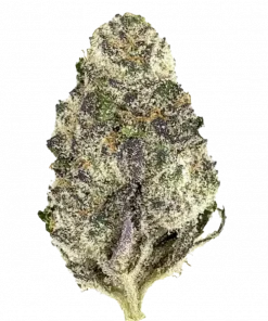 Super Boof, turunçgil ve fındık aromalı, yüksek THC'li dengeli bir hibrit türdür. Ağrı ve stres için ideal. Genetik yapısını keşfedin ve etkilerini görüntüleyin.