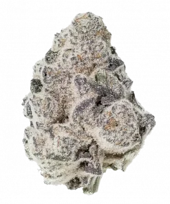 Super Boof Auto, tatlı aroması ve THC içeriğiyle öne çıkan Indica dominant bir türdür. Yaratıcılığı tetikleyen bu eşsiz türü keşfedin ve hemen inceleyin.