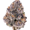 Super Boof x Red Pop, tatlı meyve aromaları ve rahatlatıcı etkisiyle bilinen Indica baskın bir türdür. Yüksek THC içeriğiyle öne çıkar. Genetik yapısını keşfedin.