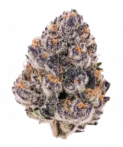 Super Boof x Red Pop, tatlı meyve aromaları ve rahatlatıcı etkisiyle bilinen Indica baskın bir türdür. Yüksek THC içeriğiyle öne çıkar. Genetik yapısını keşfedin.