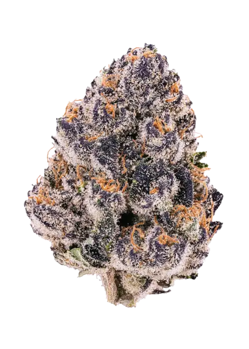 Super Boof x Red Pop, tatlı meyve aromaları ve rahatlatıcı etkisiyle bilinen Indica baskın bir türdür. Yüksek THC içeriğiyle öne çıkar. Genetik yapısını keşfedin.