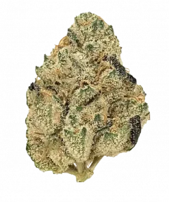 Süper Candy, şekerli mango aroması ve dengeli genetiğiyle öne çıkan bir hibrit türdür. Yüksek THC içeriğiyle eşsiz deneyimi keşfedin ve özelliklerini görüntüleyin.