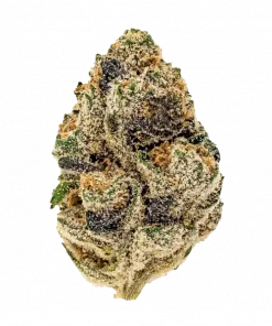 Super Gremlin, yakıtımsı aroması ve yüksek THC içeriğiyle bilinen Indica baskın bir türdür. Sherbanger x Animal Cookies genetiğini keşfedin ve etkilerini görüntüleyin.