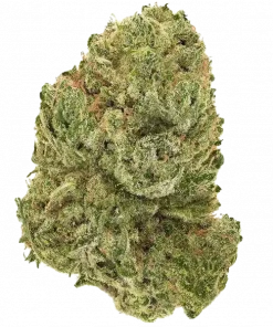 Super Lemon Haze RBX3, kimyasal limon aroması ve tatlı meyve notalarıyla öne çıkan bir türdür. Yüksek verim ve güçlü etki için hemen keşfedin.