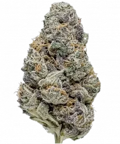 Super Lemon Haze x Pink Candy, limon aroması ve yüksek THC içeriğiyle bilinen Sativa baskın bir türdür. Enerjik etkilerini ve genetik yapısını keşfedin.