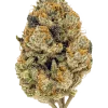 Super Lemon Haze x RS11, sert yakıtımsı aroması ve yüksek THC içeriğiyle bilinen Indica dominant bir türdür. Derin rahatlama ve uyku için ideal. Özelliklerini keşfedin.