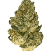 Super OG Kush Fast, yakıtımsı ve toprak aromalarıyla öne çıkan Indica dominant bir türdür. Hızlı çiçeklenme özelliğiyle dikkat çeker. Özelliklerini keşfedin.