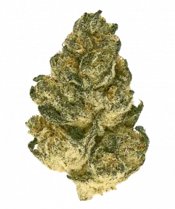 Super OG Kush Fast, yakıtımsı ve toprak aromalarıyla öne çıkan Indica dominant bir türdür. Hızlı çiçeklenme özelliğiyle dikkat çeker. Özelliklerini keşfedin.
