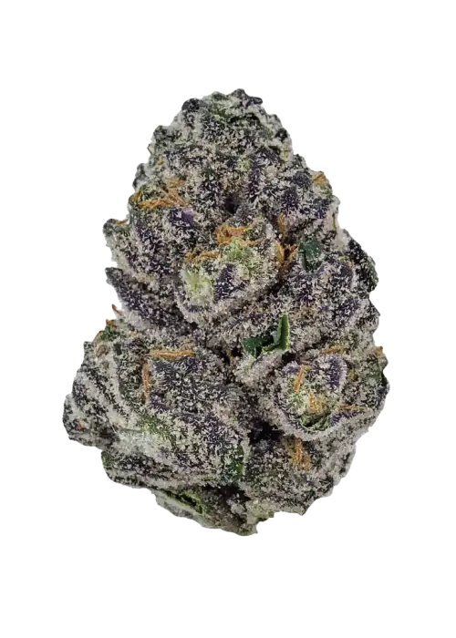 Super Runtz, tatlı narenciye aromaları ve THC oranıyla öne çıkan dengeli bir hibrit türdür. Rahatlatıcı etkilerini keşfedin ve benzersiz deneyimini görüntüleyin.