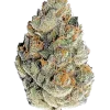 Super Skunk, sert yakıtımsı aroması ve yüksek THC içeriğiyle bilinen Indica dominant bir türdür. Güçlü etkilerini ve eşsiz lezzetini keşfedin.