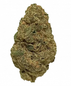 Supreme Diesel, yakıtımsı ve narenciye aromalarıyla öne çıkan dengeli bir hibrit türdür. Neşeli etkileriyle bilinen bu türün genetik yapısını keşfedin.