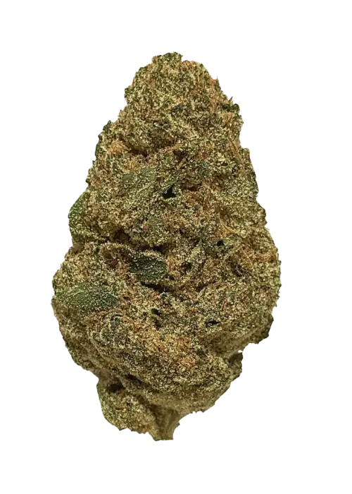 Supreme Diesel, yakıtımsı ve narenciye aromalarıyla öne çıkan dengeli bir hibrit türdür. Neşeli etkileriyle bilinen bu türün genetik yapısını keşfedin.