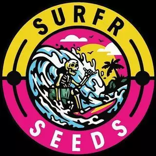 Surfr Seeds