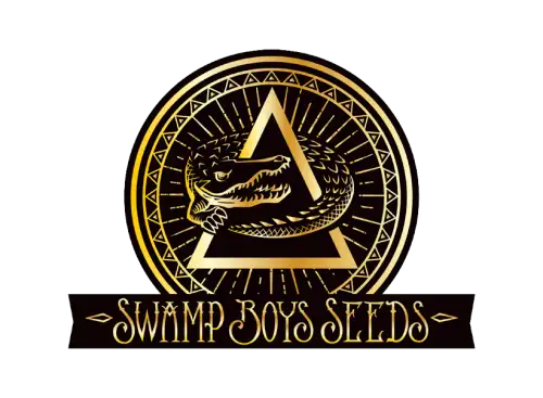 Swamp Boys Seeds