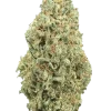 Sweet Amnesia Haze, limon aromaları ve yüksek enerjisiyle bilinen sativa baskın türdür. Hızlı çiçeklenme özelliğiyle öne çıkar. Genetik yapısını keşfedin.