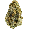 Sweet Kush, tatlı meyve aromaları ve dengeli etkisiyle öne çıkan bir hibrit türdür. Ağrı ve stres için ideal. Bu eşsiz türü keşfedin.