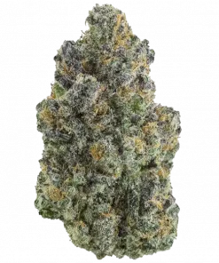 Sweet Pure CBD®, tatlı aroması ve yüksek CBD içeriğiyle öne çıkan bir Sativa türüdür. Kronik ağrı ve stres için ideal. Genetik yapısını keşfedin.