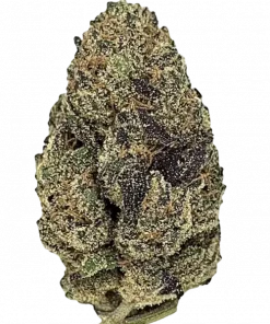 Sweet Tart, yakıtımsı aroması ve yüksek THC içeriğiyle bilinen dengeli bir hibrit türdür. Öforik etkilerini ve genetik yapısını keşfedin.