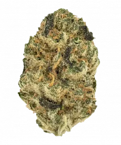 Sweet Tea, lavanta aromalı ve yüksek THC'li sativa baskın bir türdür. Enerji ve odaklanma için ideal. Bu eşsiz türün genetik yapısını keşfedin.