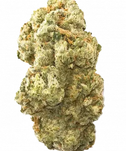 Sweet Thang, üzümlü jöle aroması ve mor tonlarıyla dikkat çeken bir hibrit türdür. Yüksek THC içeriğiyle yaratıcı etkiler sunar. Şimdi keşfedin.